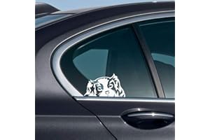 WIRESTER 6 inch Clear Vinyl Decal Sticker Decoration for Car Window (Or Any Flat Surface) - Cavalier King Charles Spaniels Dog