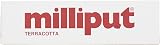 Milliput Terracotta 2 Part Epoxy Putty 113.4g Restoration Repair view 2