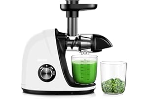 Jocuu Slow Masticating Juicer with 2-Speed Modes - Cold Press Juicer Machine - Quiet Motor & Reverse Function - Easy to Clean