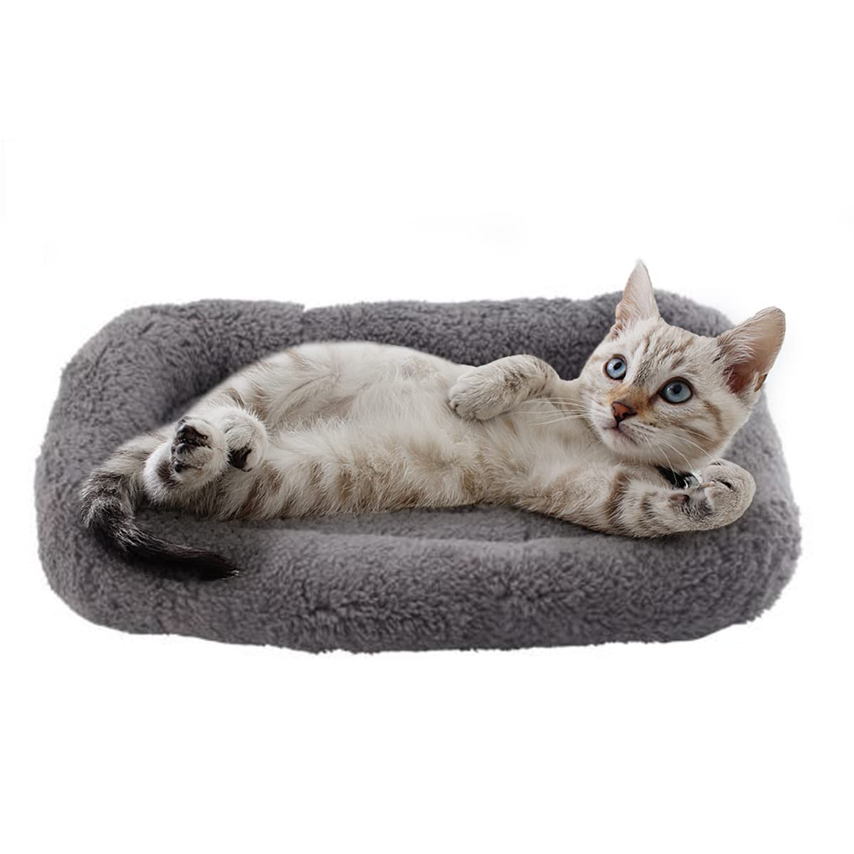 Photo 1 of PETLESO Small Cat Bed Mat Plush Pet Cushion, 15" x 10" Cat Pad with Cozy Pillow Around for Indoor Pets, Pup Curl Sleep Self Warming Mat for Crate Carrier/Outdoor Pet Houses, Non-Slip Bottom, Small