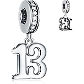 GLOWDAS 10 to 25 28 30 31 33 35 36 40 45 50 55 60 65 70 75 80 Birthday Charms, fits European Anniversary Bracelet/Necklace, 925 Sterling Silver Number Pendant Beads, Gifts for Lover/Family/Friends