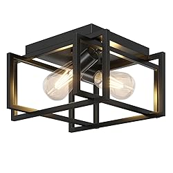Feanron 2-Light Flush Mount Ceiling Light