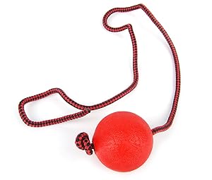 Younther Pet Elastic Solid Rubber Ball with Rope for Dog Training Play, Exercise & Fetch, No Squeakers