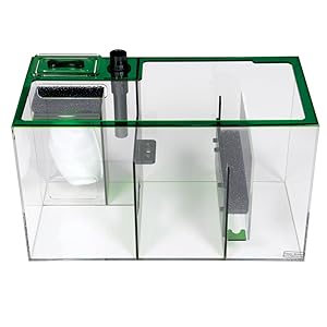 Emerald Sump
