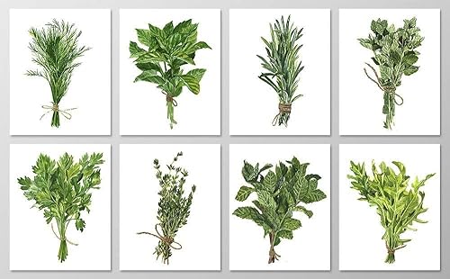 Amazon Com Herb Wall Art A076 Set Of 8 Botanical Art Prints 8x10 Botanical Art Botanical Prints Wall Art Botanical Prints Kitchen Wall Art Nature Wall Art Green Wall Art Botanical Painting Prints Handmade