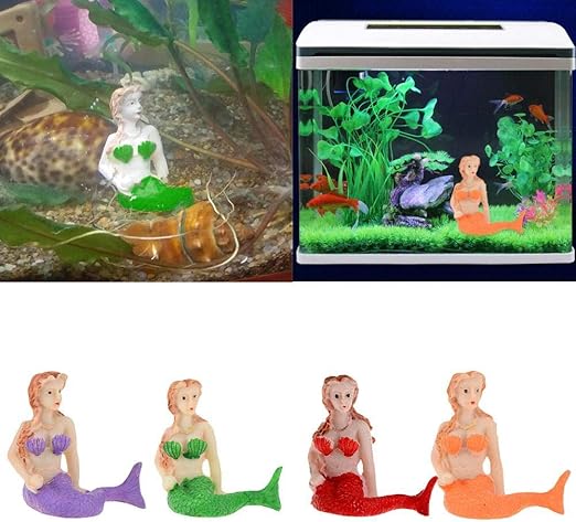 mermaid fish tank