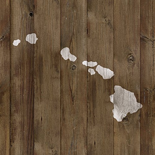 Hawaii State Stencil Template - Reusable Stencil with Multiple Sizes Available