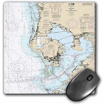 Amazon.com : 3D Rose"Print of Nautical Map of Tampa Bay ...