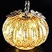 denlix Mercury Glass Pumpkin Lights 5.5 Inches Timer Pumpkins Decorations Tables Centerpieces Decorative Fall Decor