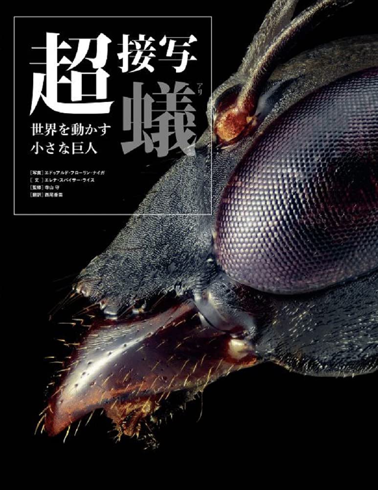 超接写 蟻 世界を動かす小さな巨人 エレナ スパイサー ライス 寺山 守 エドゥアルド フローリン ナイガ 西尾 香苗 本 通販 Amazon