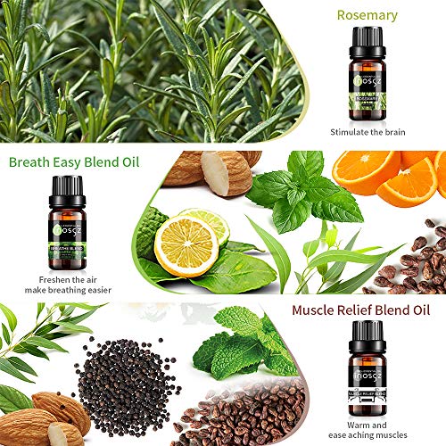 Essential Oils Set for Diffusers Aromatherapy Sleep Skin Natural Pure Rosemary Essential Oils Car Home Fragrance Aroma Plant Therapy Diffuser Oils for Candle Making