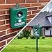 Ultrasonic Animal Repellent, Solar Powered Waterproof Cat Repellent, Motion Activated with Flash LED Light, Animal Control for Birds, Raccoons, Rats, Cats and Dogs
