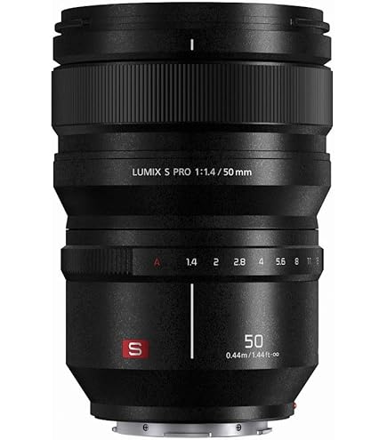 Amazon.com : Panasonic LUMIX S Series Camera Lens, 50mm F1.8 L