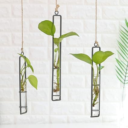Amazon Com Clear Glass Test Tube Flower Vases Wall Hanging Air
