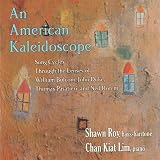 AMERICAN KALEIDOSCOPE                              image