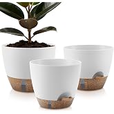QRRICA 9/10/12 Inch Self Watering Pots for Indoor &amp; Outdoor Plants | Plastic Self-Watering Planters,Water-Level Window, Detachable Saucer,Drainage Holes ,Lightweight, Easy Read, White
