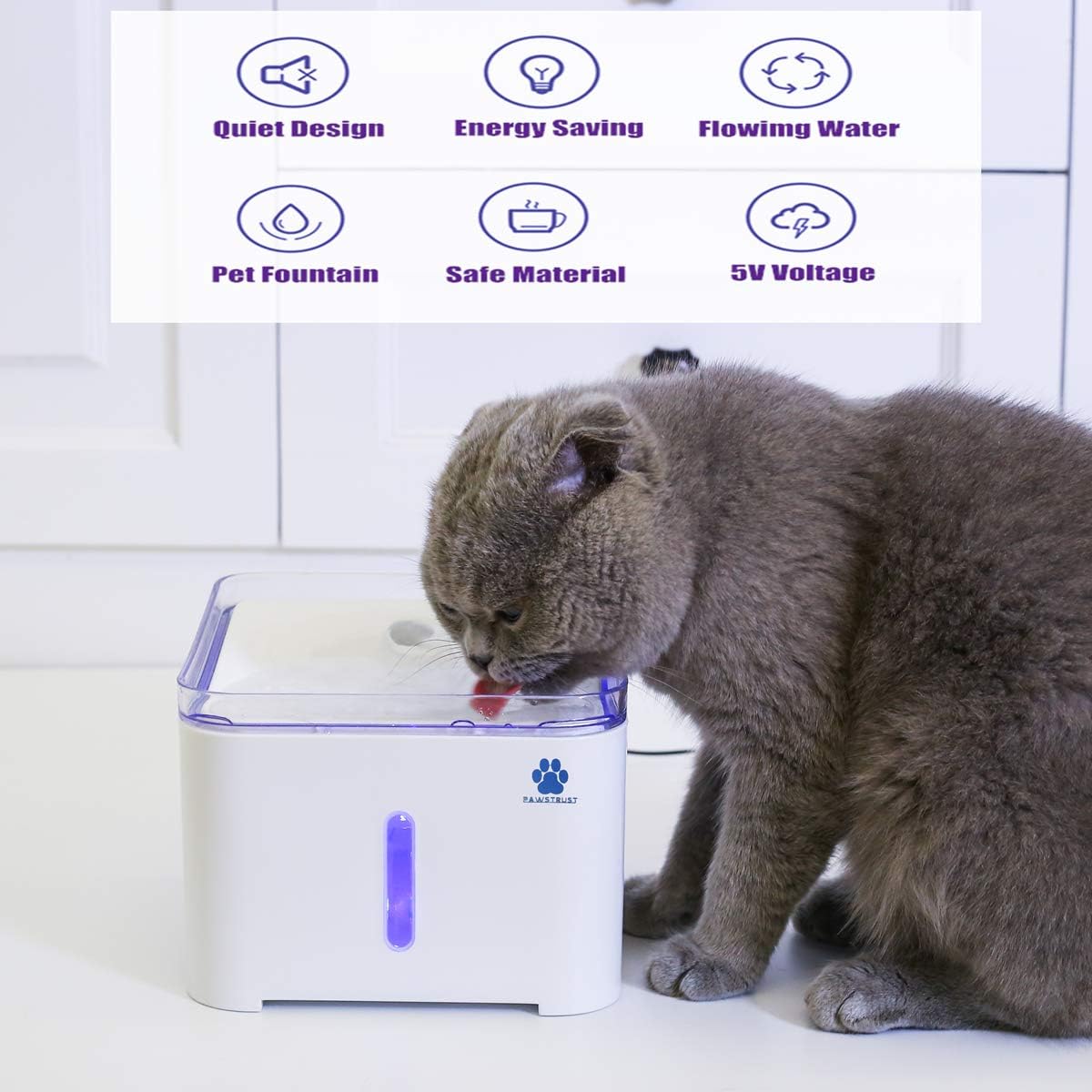 Cat Water Fountain, Pet Water Fountain, 68oz/2.0L Pet Water Dispenser