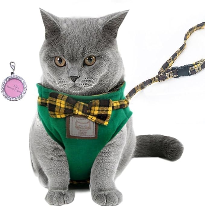 Cuteshower Cat Jacket Harness Vest with Matching Lead Leash Set Green