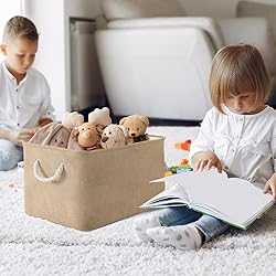 Sacyic Organization and Storage Basket for