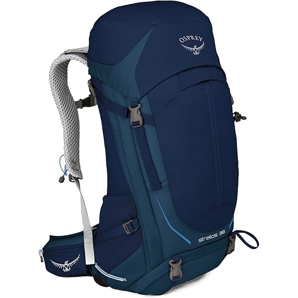 Amazon.com: OSPREY OS50308 Stratos 26, steeshan blue, Free
