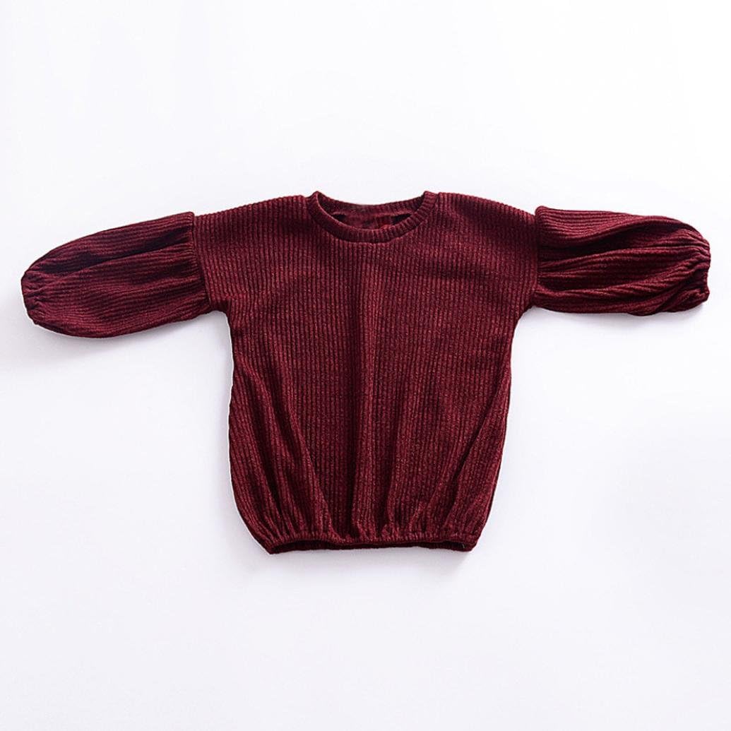 ZLOLIA Baby Clothes Autumn Winter Kids Girls Solid Lantern Sleeve Shirt Tops Loose Outfits (100, Wine): Home & Kitchen