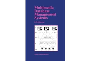 Multimedia Database Management Systems (The Springer International Series in Engineering and Computer Science)