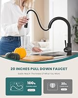 APPASO Black Kitchen Tap with Pull Out Spray 2 Modes 360° Swivel 304 Stainless view 3