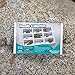 Educational Insights Fossil Collection, Ages 8 and up, (9 Pieces with Storage Tray)