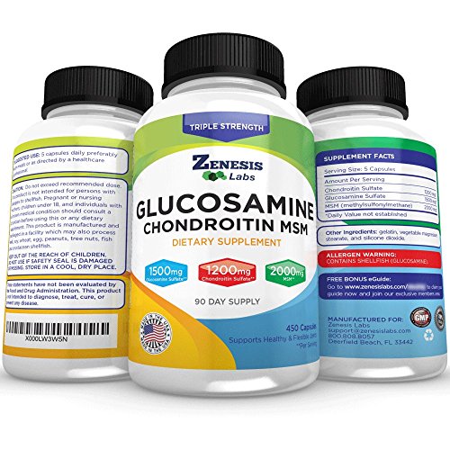 Glucosamine Chondroitin MSM 450 Capsules (90 Day Supply) + Free Joint