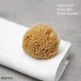 Naroa Natural Baby Sponge Soft Sea Wool Unbleached 2 Pack view 3