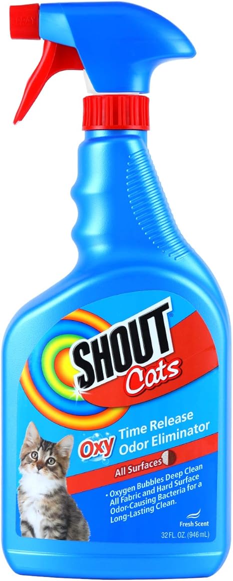 How To Get Rid Of Cat Spray Odor In Carpet