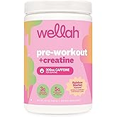 Wellah Pre-Workout + Creatine Powder (Rainbow Sherbert) 30 Servings | 200mg Caffeine, 3g Creatine Monohydrate, 5g Citrulline Malate, Pre-Workout with Creatine Supplement