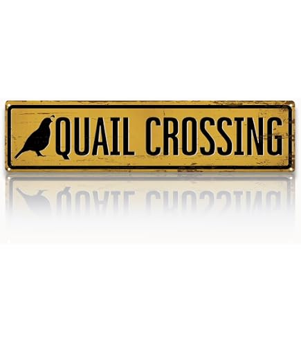 Amazon.com: Signs 4 Fun Decorative Crossing Sign | Zombie Xing