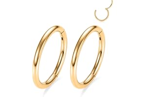 GAGABODY 2 Pcs Nose Rings 20G 18G 16G 14G 12G 10G 8G Surgical Steel Piercing Rings for Nose Septum Cartilage Helix Tragus Conch Rook Daith Lobe from 5mm to 16mm Seamless Hoop Unisex Hinged Earrings