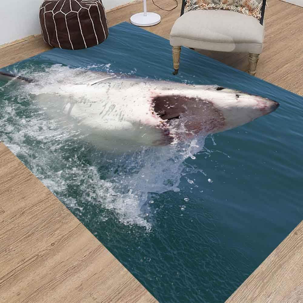Area Rugs,Jesmacti Rug Multi-Style Modern Interior Decoration Rug,Super Soft and Comfortable Rug, Great White Shark South Africa Suitable for Living Room Bedroom Kindergarten Dormitory (5X7 Feet)