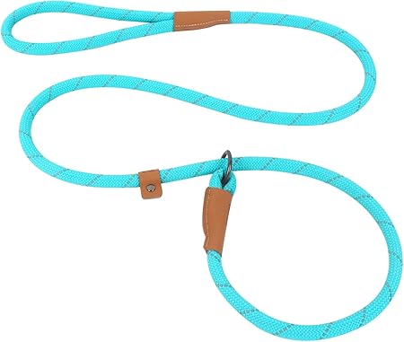 amazon dog slip leads
