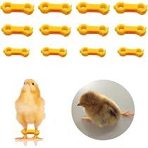 Attelles Correctives Pour Poussins - 12 Pièces Réglables - Soin Pattes écartées Canetons Oiseaux - 14