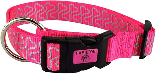 best supplement for itchy dog