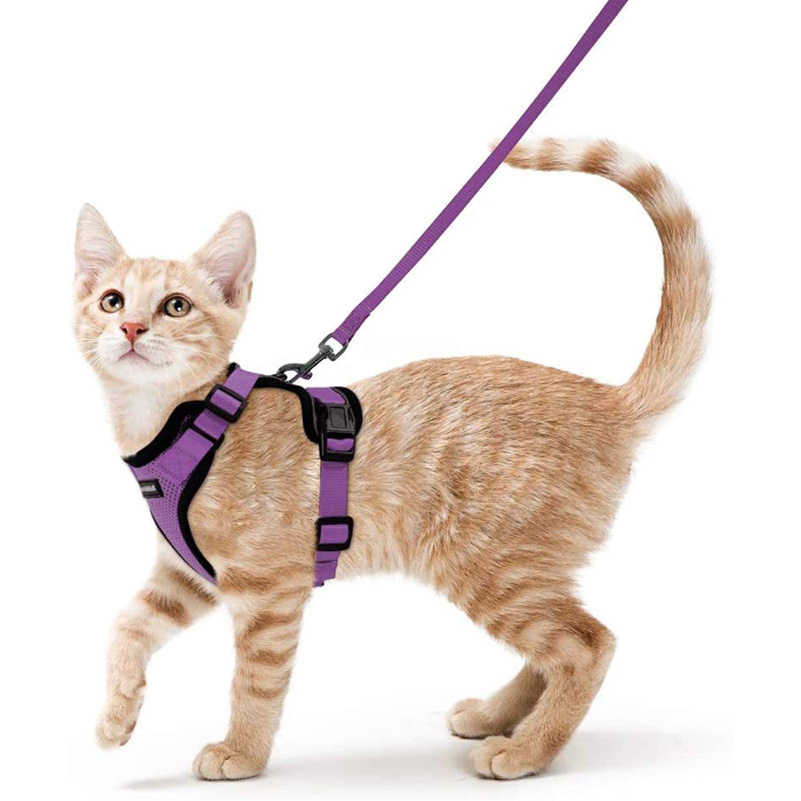 Photo 1 of rabbitgoo Cat Harness and Leash for Walking, Escape Proof Soft Adjustable Vest Harnesses for Cats, Easy Control Breathable Reflective Strips Jacket, Purple, S