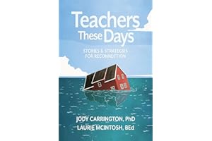 Teachers These Days: Stories and Strategies for Reconnection