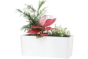 SAROSORA 14" Rectangle Self Watering Planter with Water Level Indicators for Plants & Flower Home Garden Outdoor Indoor Succu