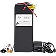 BtrPower 36V 48V Ebike Battery 10AH 12AH 16AH 20AH 25AH 30AH 40AH 50AH 60AH Lithium LiFePO4 Battery Pack with 3A/5A Fast Charger and 20A/40A/50A BMS fit for 3000W-250W Motor