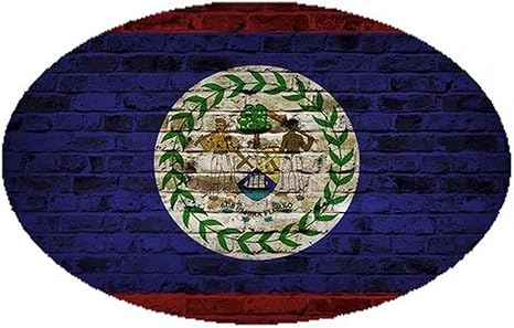 Amazon Co Jp ベリーズ国旗レンガ壁デザイン楕円形マグネット 屋内または屋外のvehicles ホーム キッチン