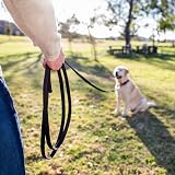 Company of Animals Recall Line 10m Dog Training Equipment Recall Line 10m view 5