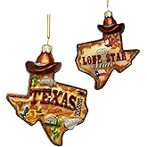 Kurt S. Adler 4.875-Inch Glass Texas Ornament