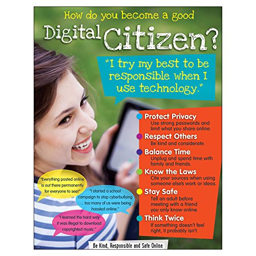 Trend Enterprises Inc. Digital Citizenship (Secondary) Learning Chart 17" X 22"