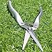 Pruning Shears Straight Tip Pruning Trimming Scissors Florist Scissors-Stainless Steel Ultra Sharp Multi-Purpose Hand Pruner Scissors for Garden Harvesting Fruits Vegetables, Trimming Flowers,Silverythumb 2