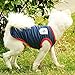 Siray 2018 FIFA World Cup Pet National Soccer Jersey Pet Shirt Pet Apparel (France, M)