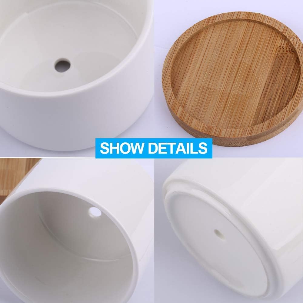 Succulent Pots, ZOUTOG White Mini 3.15 inch Ceramic Flower Planter Pot with Bamboo Tray, Pack of 6 - Plants Not Included: Kitchen & Dining