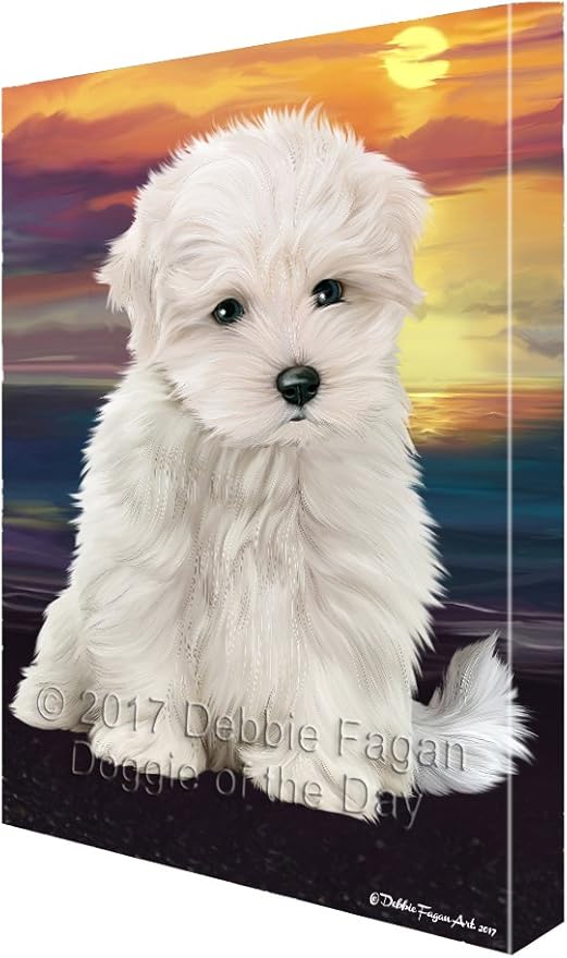 Maltese Dog Canvas Wall Art D444 (11x14) Posters & Prints